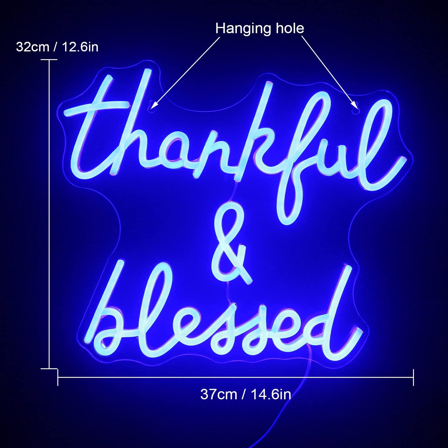 Thankful and Blessed Neon Sign Jesus Neon Sign