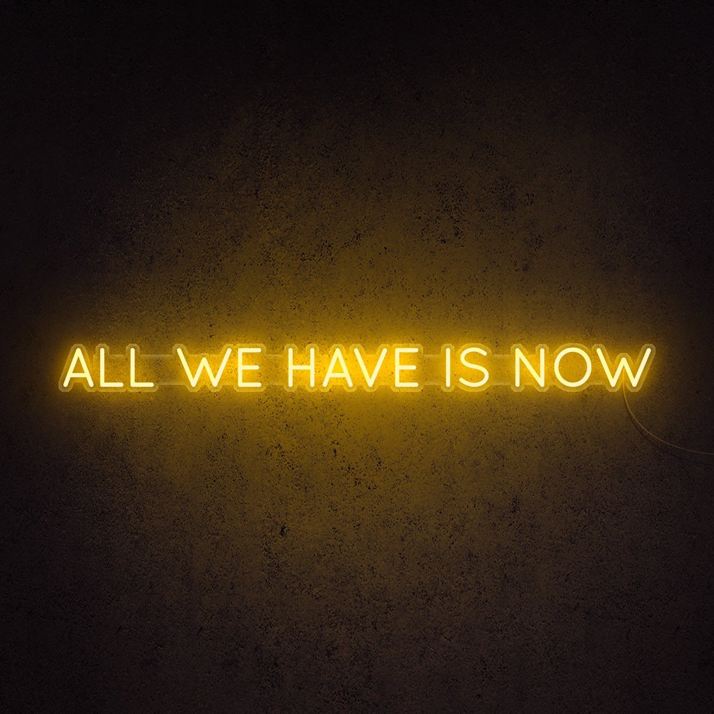 All We Have Is Now Single Line Neon Sign