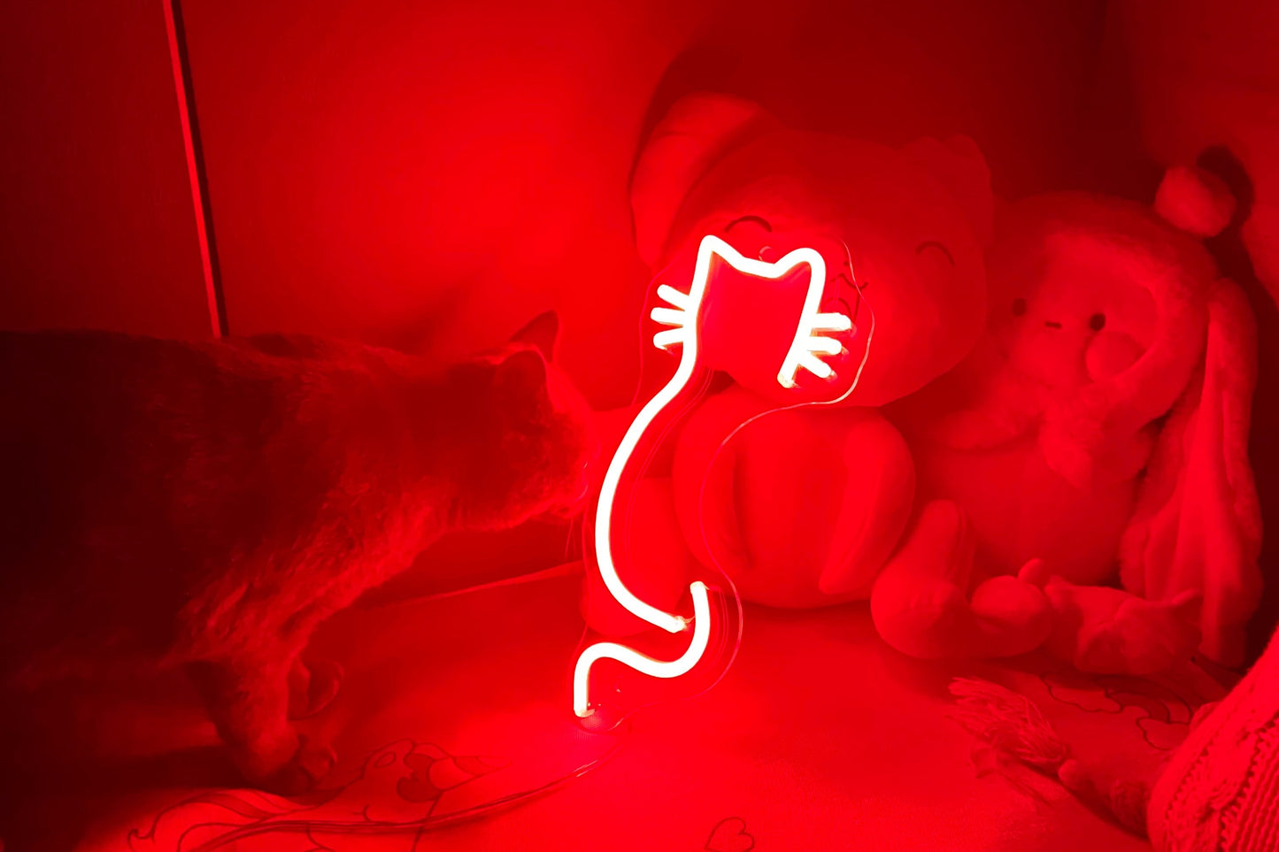 Cat back neon sign